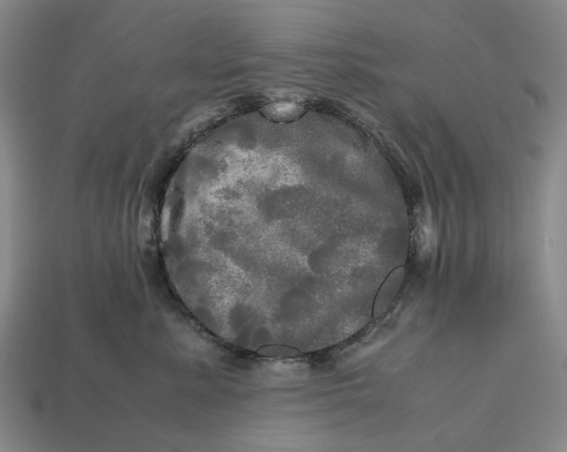 X0000112970619200909171319