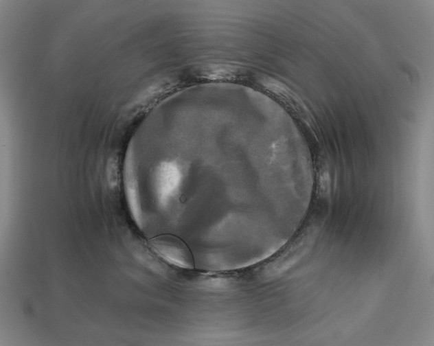 X0000112970620200909171319