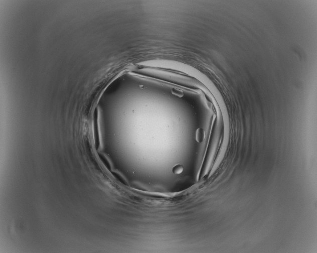 X0000112970621200909171319