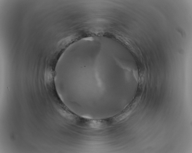 X0000112970623200909171319