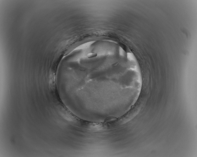 X0000112970624200909171319