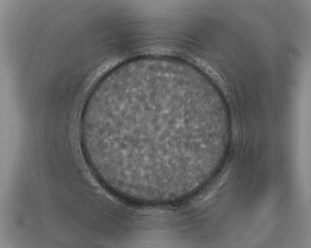 X0000112970625200909171319