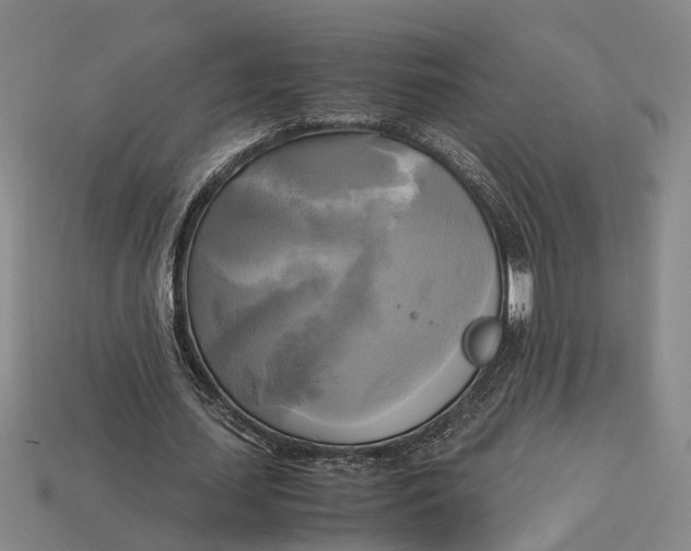 X0000112970627200909171319