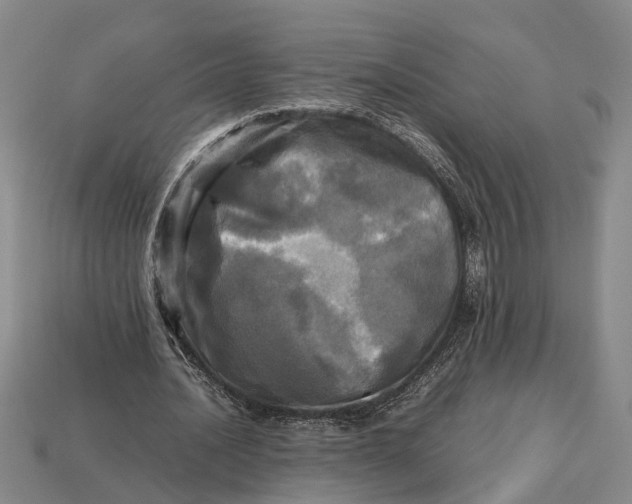 X0000112970628200909171319