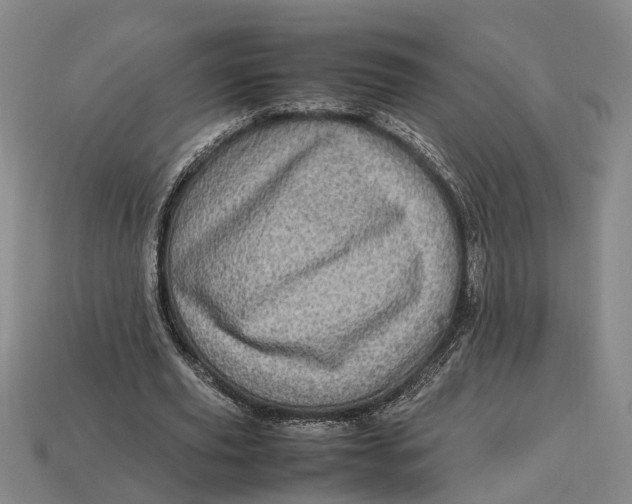 X0000112970629200909171319