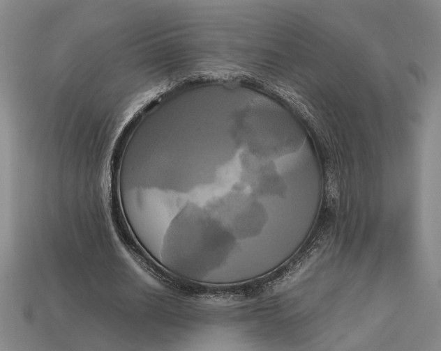 X0000112970630200909171319