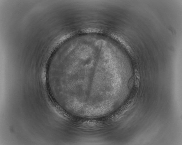 X0000112970631200909171319