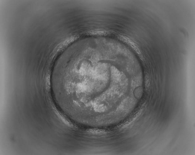 X0000112970633200909171319