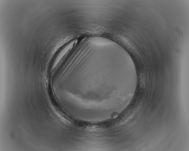 X0000112970634200909171319