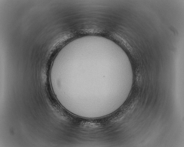 X0000112970635200909171319