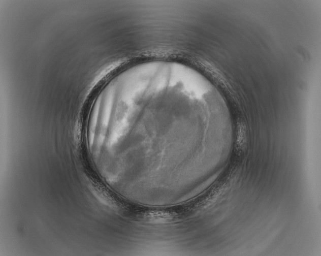 X0000112970636200909171319