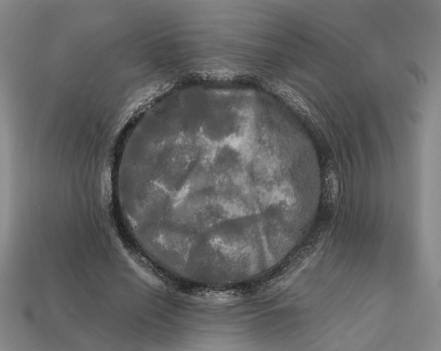 X0000112970638200909171319