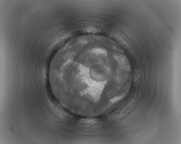 X0000112970639200909171319