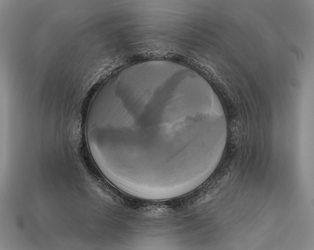 X0000112970642200909171319