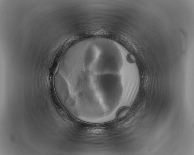 X0000112970643200909171319