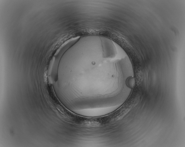 X0000112970644200909171319