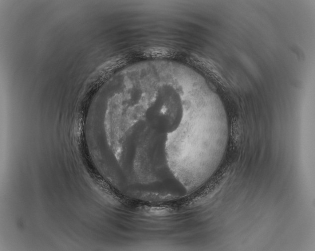 X0000112970645200909171319