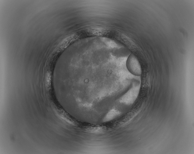 X0000112970646200909171319