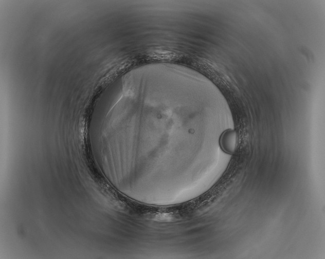 X0000112970647200909171319