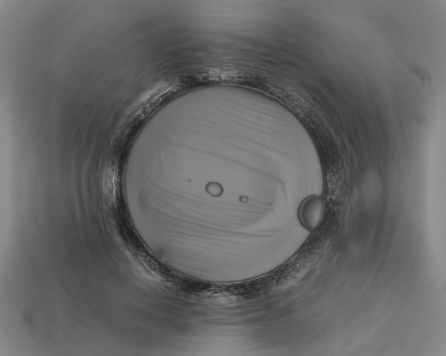 X0000112970648200909171319