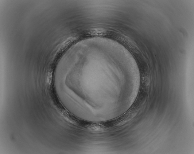 X0000112970652200909171319