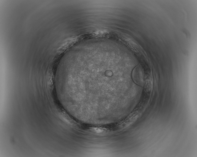 X0000112970654200909171319