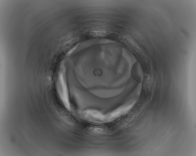 X0000112970655200909171319