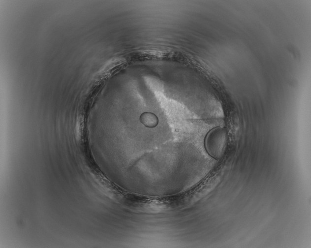 X0000112970656200909171319