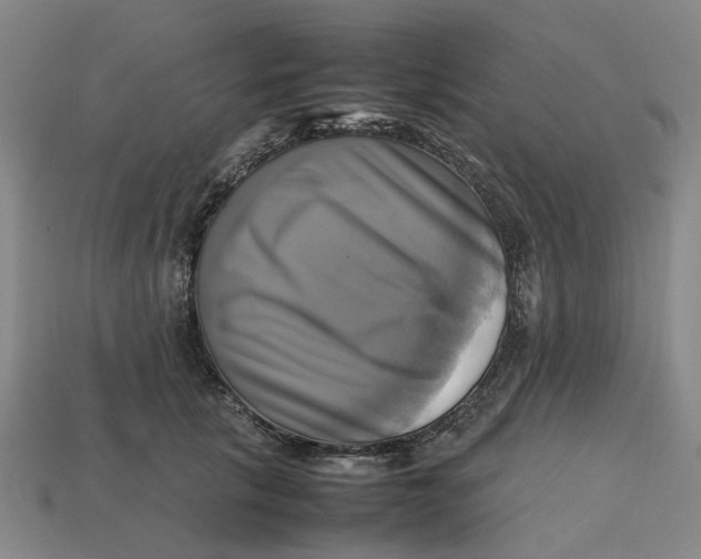 X0000112970657200909171319