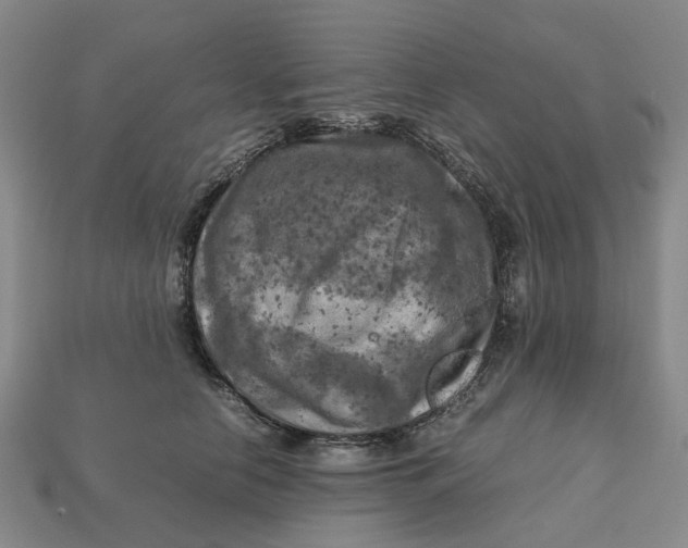 X0000112970658200909171319