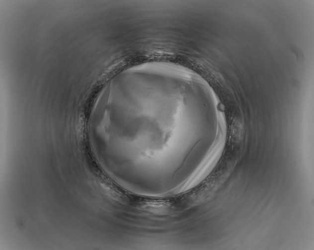 X0000112970659200909171319