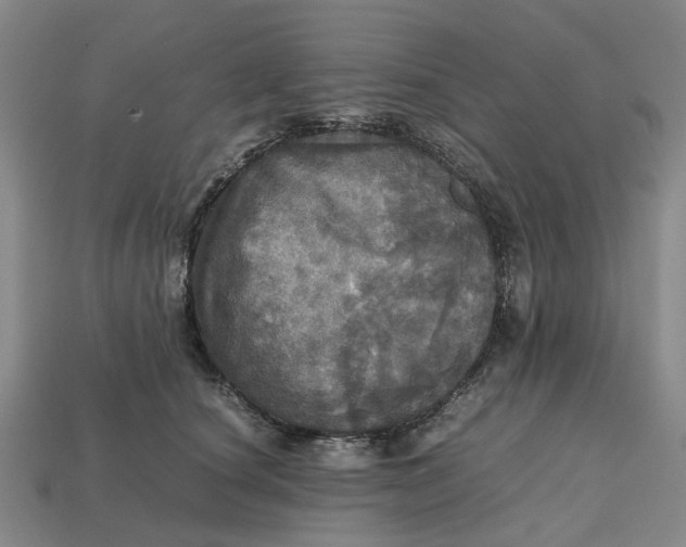 X0000112970660200909171319