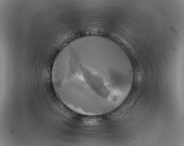 X0000112970661200909171319