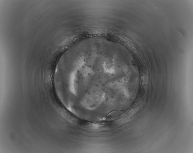 X0000112970662200909171319