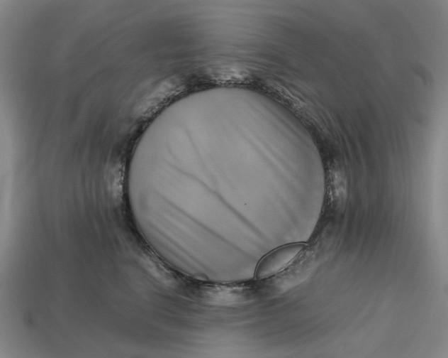 X0000112970664200909171319