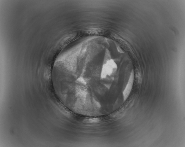 X0000112970665200909171319