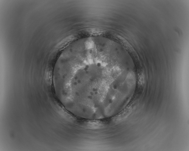 X0000112970666200909171319