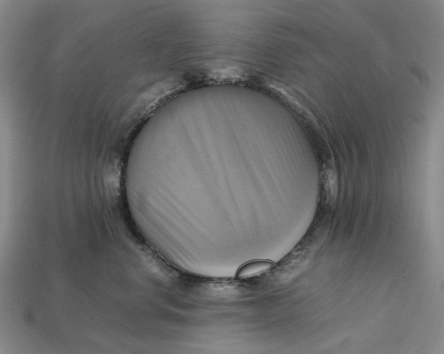 X0000112970668200909171319