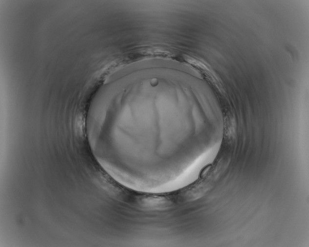 X0000112970669200909171319