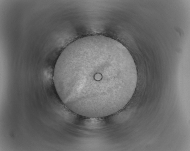 X0000112970672200909171319