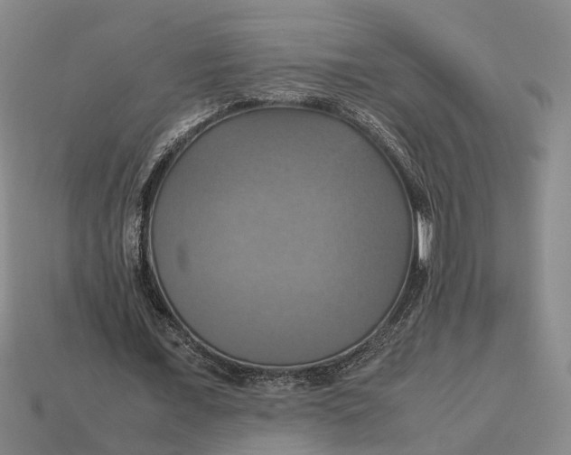 X0000112970675200909171319