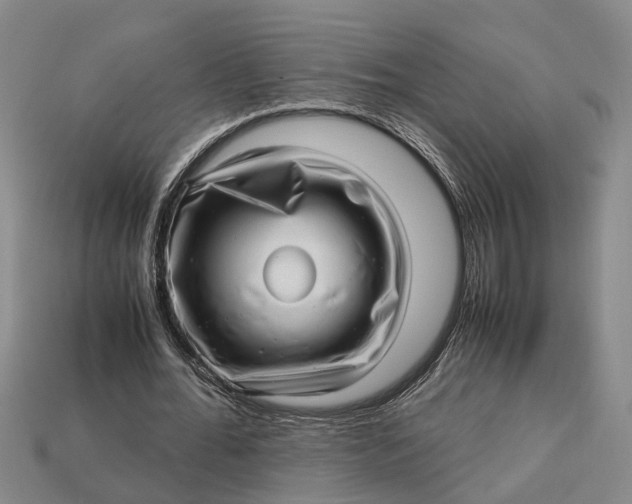 X0000112970676200909171319