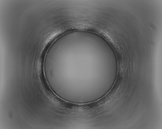 X0000112970679200909171319