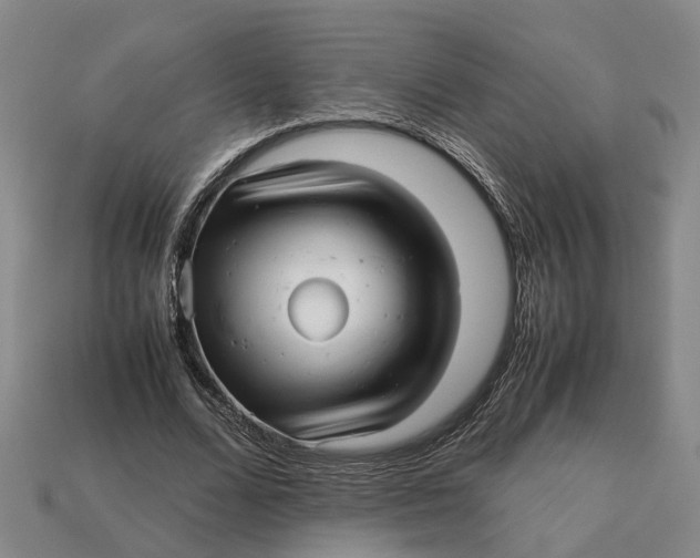 X0000112970680200909171319