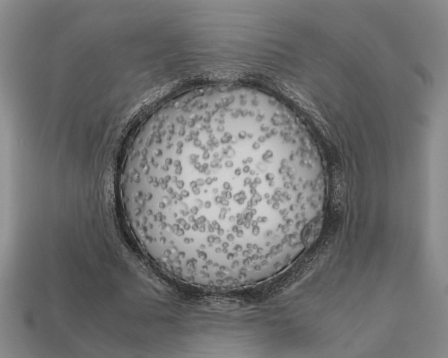 X0000112970681200909171319