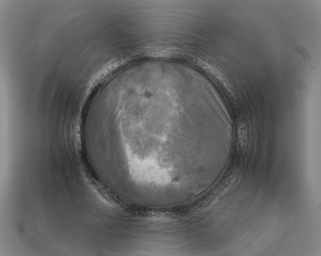 X0000112970682200909171319