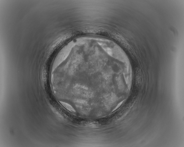 X0000112970683200909171319