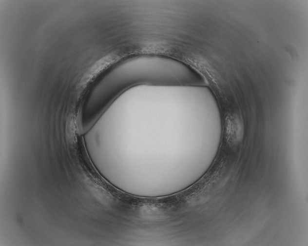 X0000112970684200909171319