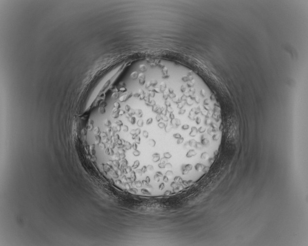 X0000112970685200909171319