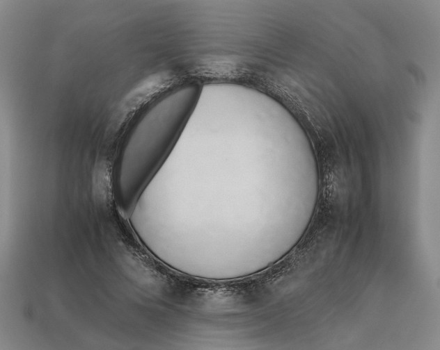 X0000112970688200909171319